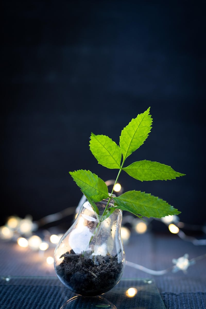 Upcycled Glassware